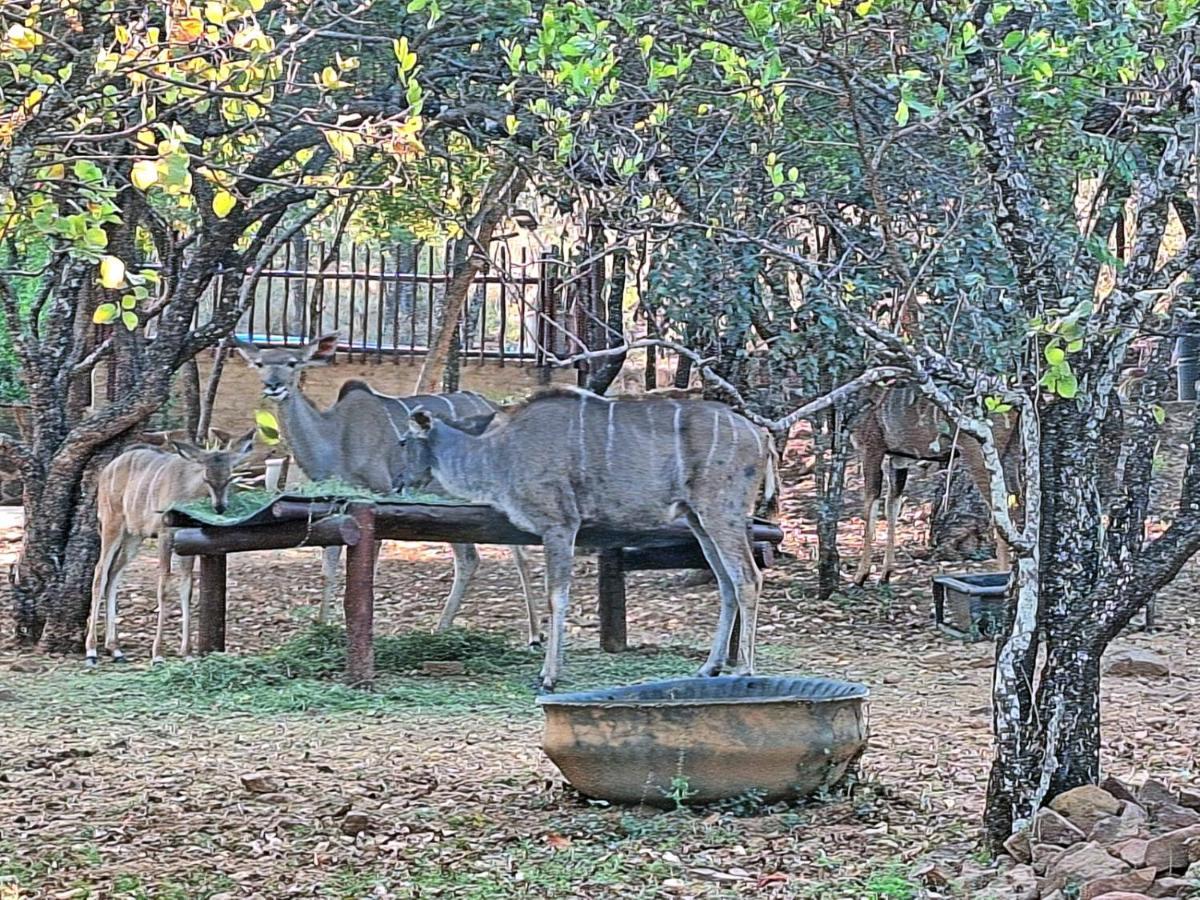 Winterkamp Loskop Serene Bush Cabin מראה חיצוני תמונה