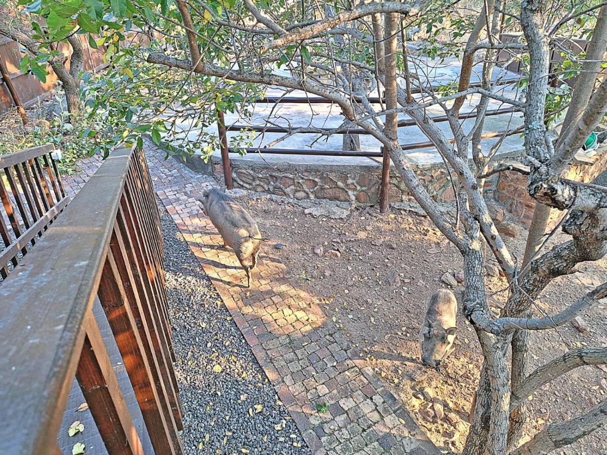 Winterkamp Loskop Serene Bush Cabin מראה חיצוני תמונה