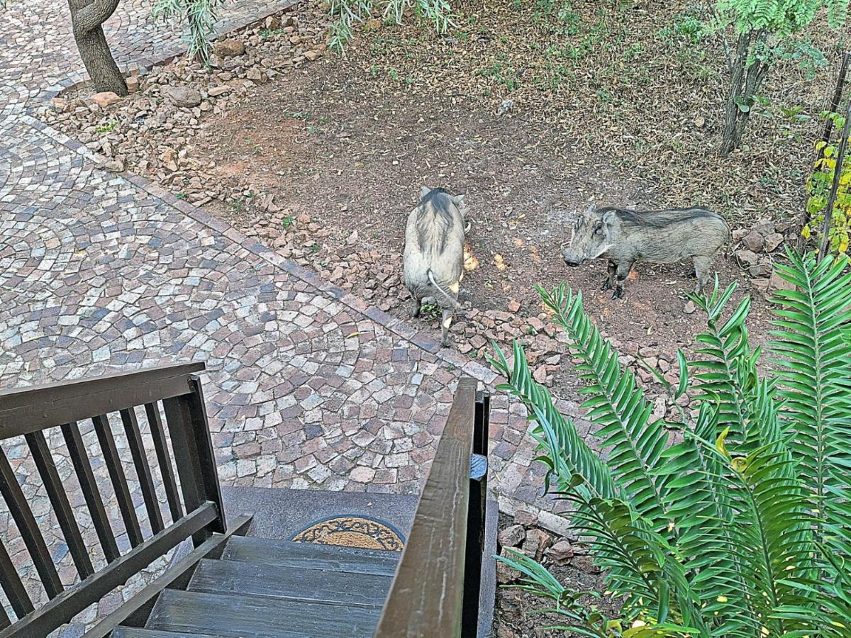 Winterkamp Loskop Serene Bush Cabin מראה חיצוני תמונה
